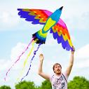 Freedom from Depression Anxiety